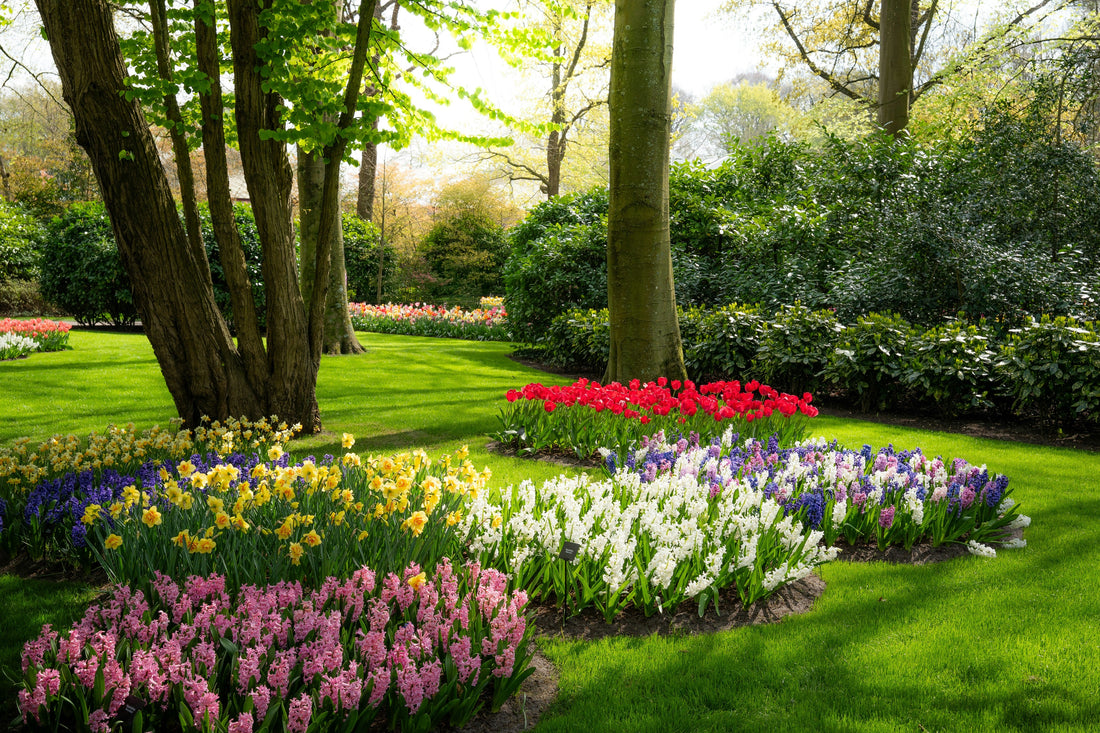 How to Build a Pollinator-Friendly Garden