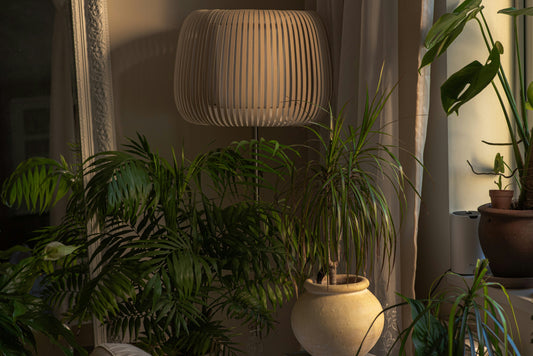 How to Use Grow Lights for Maximum Plant Growth