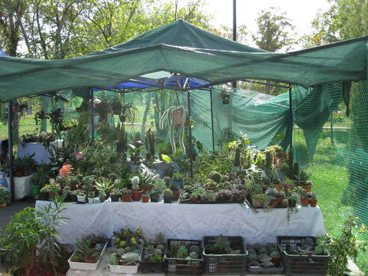 Protecting Your Plants with Garden Netting