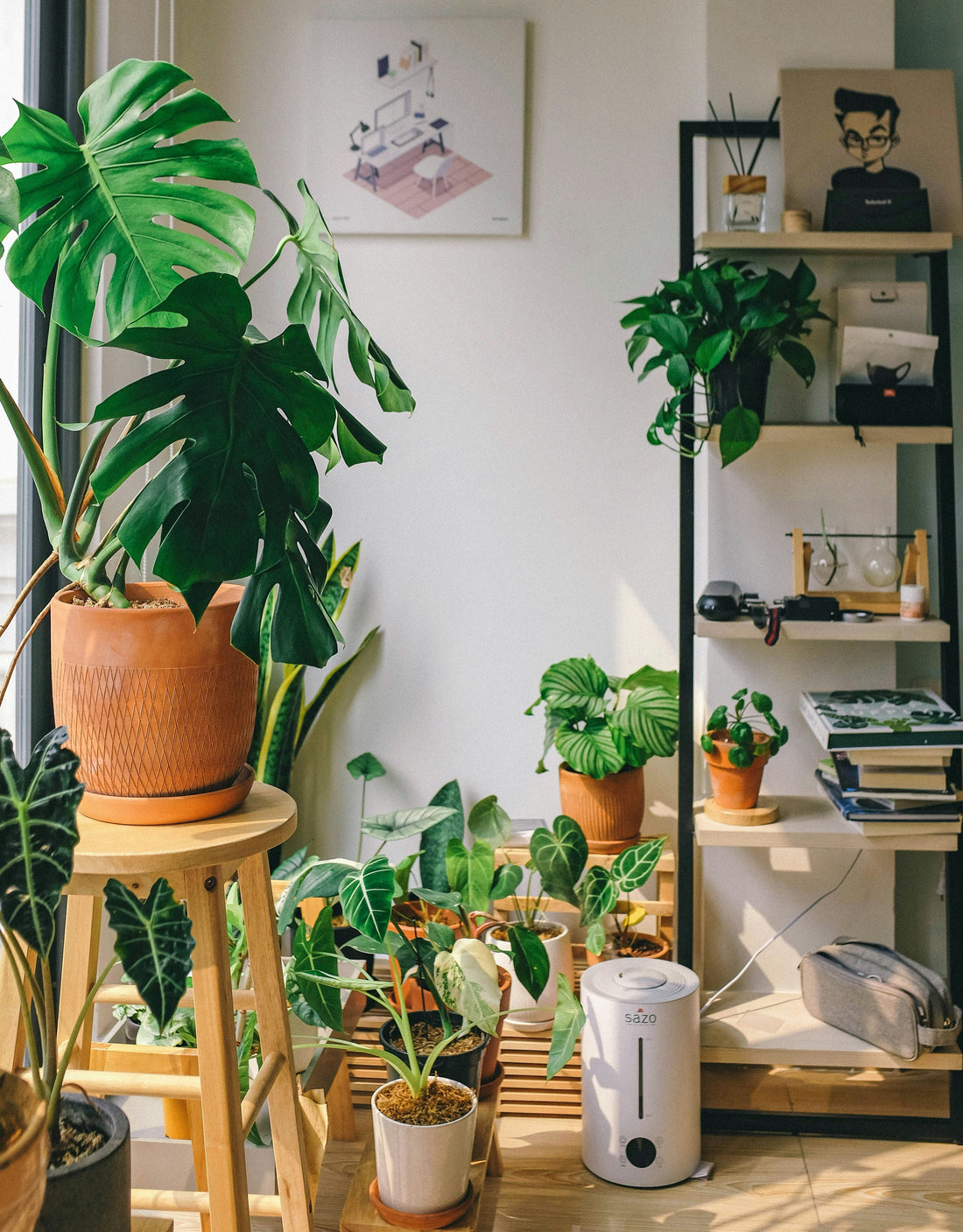 The Beginner’s Guide to Greenhouse Gardening