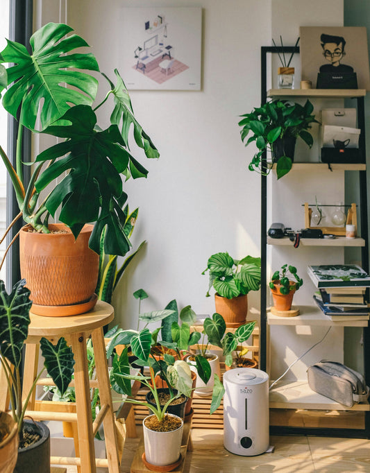 The Beginner’s Guide to Greenhouse Gardening