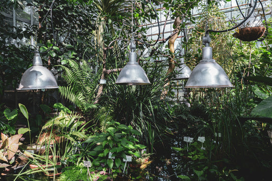 Do You Really Need a Greenhouse Cover? Here’s the Truth