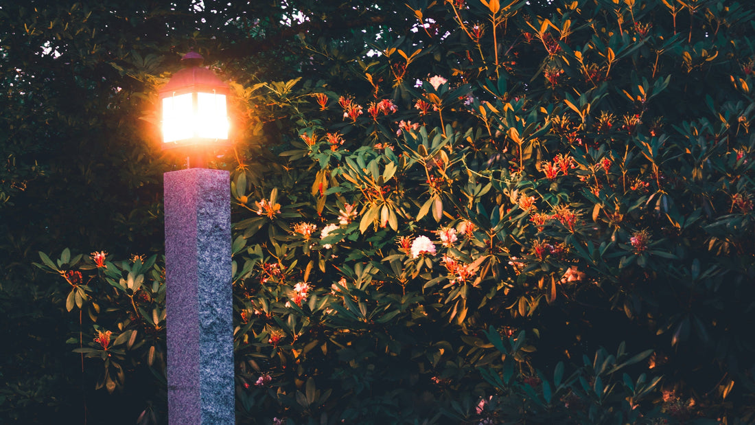 Spring and Summer Evenings: Letting Your Garden Stay Light a Little Longer