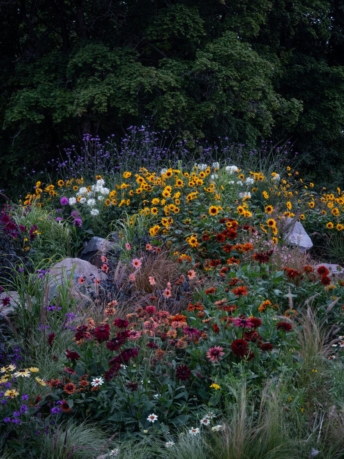Turning Everyday Evenings into Rituals with Outdoor Light
