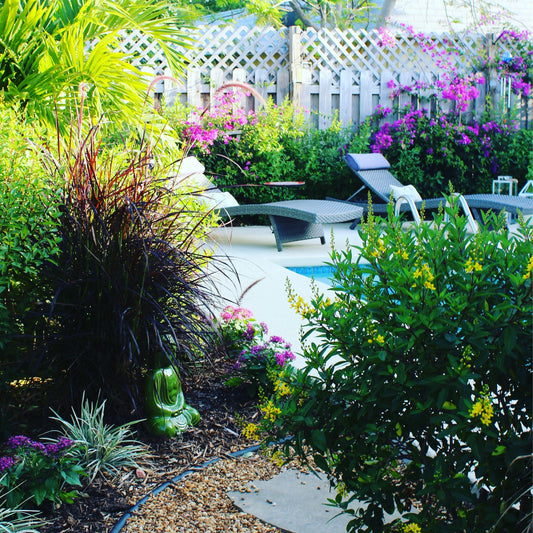 How to Create Clean Garden Borders Like a Professional
