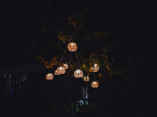Softly Lit Pathways: Evening Garden Walks and the Beauty of Slow Movement