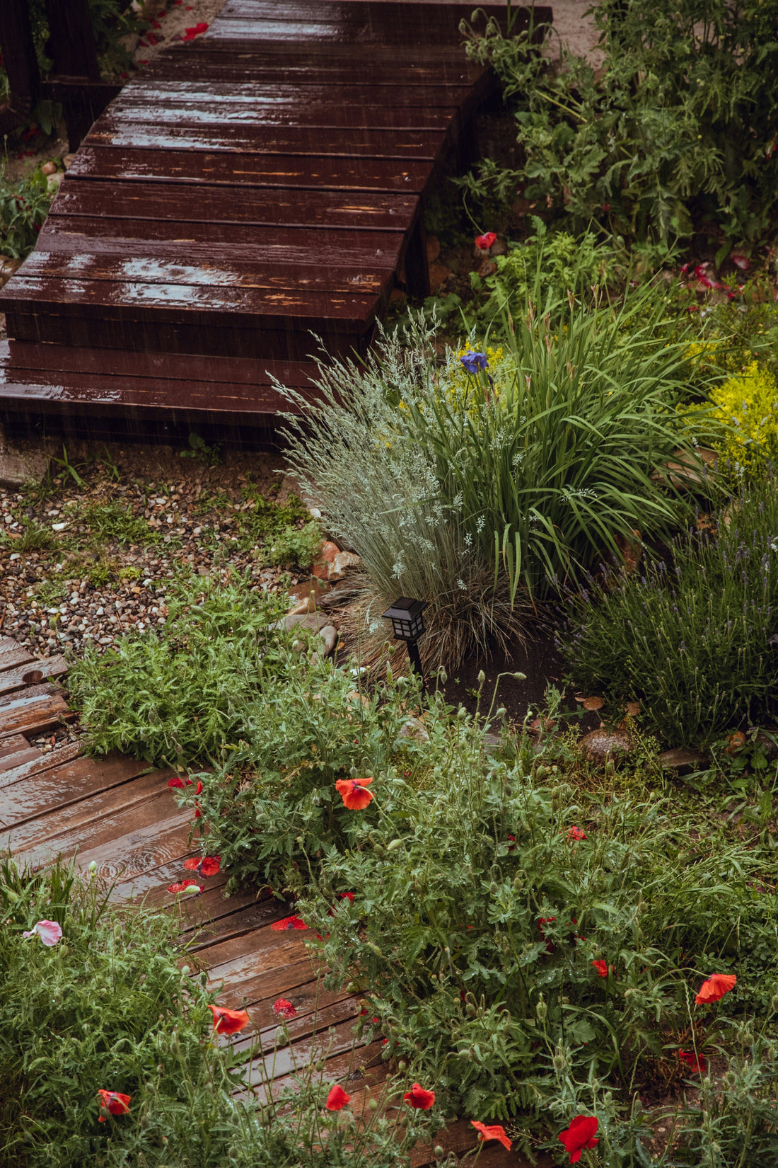 Smart Watering Techniques for Healthier Plants