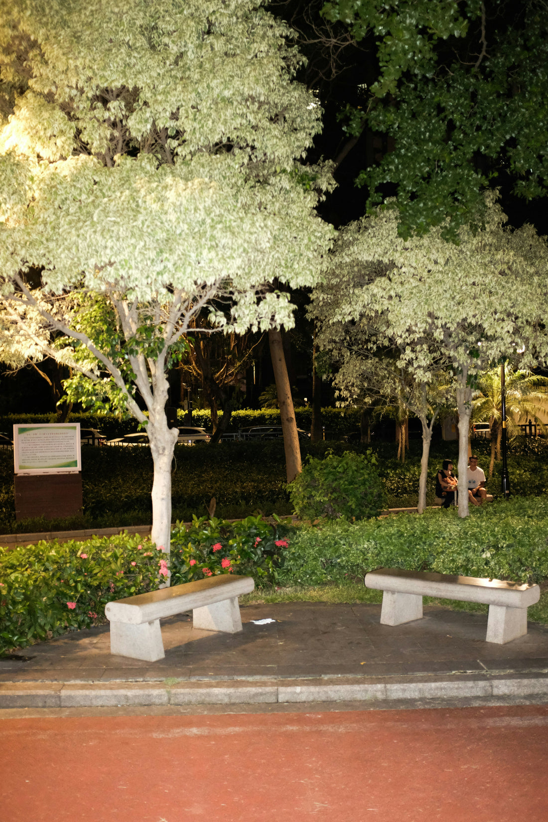How to Create an Outdoor Evening Lounge 🛋️🌿