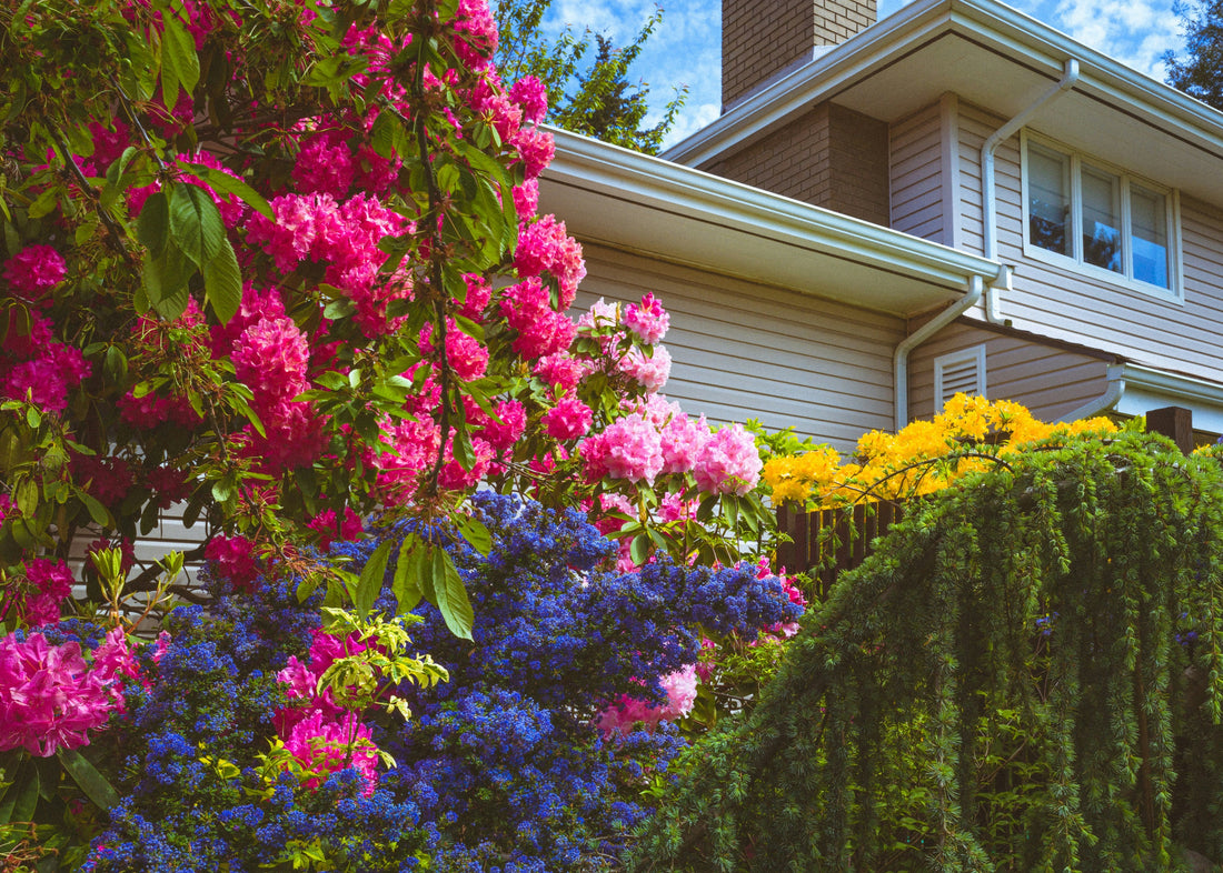 Benefits of Using Steel Landscape Edging in Modern Gardens