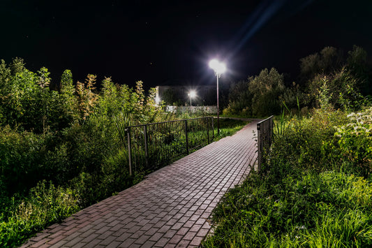 How Solar Lights Transform Your Garden Evenings