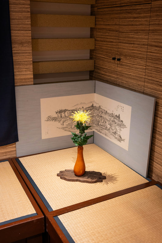 Top Outdoor Decor Essentials for Calm Gardens 🌿✨