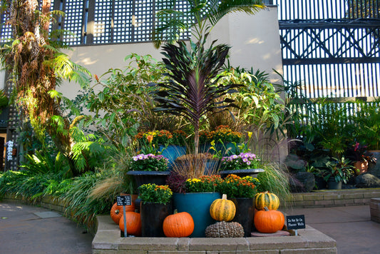 Fall Garden Decor Ideas to Celebrate the Season