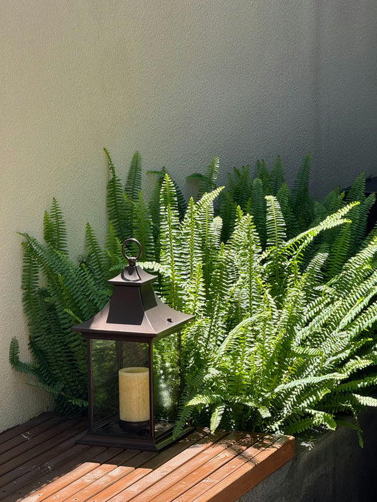 How to Build a Restful Garden Space 🪴😌