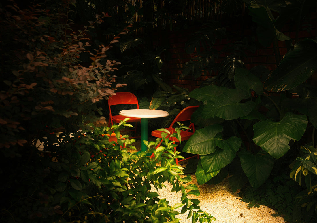 Evenings Alone in the Garden: Finding Calm in Solitary Outdoor Moments