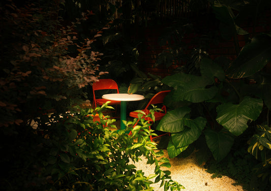 Evenings Alone in the Garden: Finding Calm in Solitary Outdoor Moments