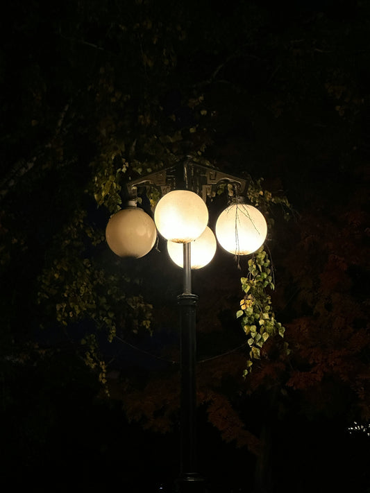 The Quietest Hour: Embracing Stillness in the Garden at Night