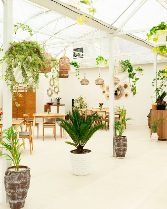 Garden Trends You Should Try Right Now 2026