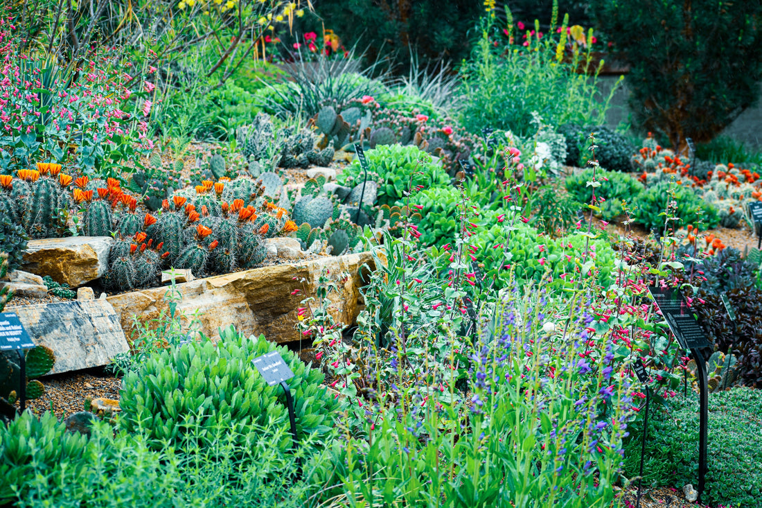 Creating a Modern Garden with Minimal Effort
