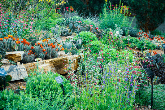 Creating a Modern Garden with Minimal Effort