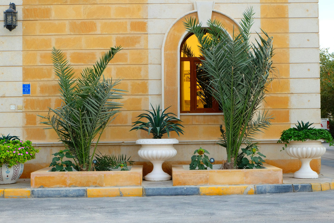 Smart Gardening with Self-Watering Pots
