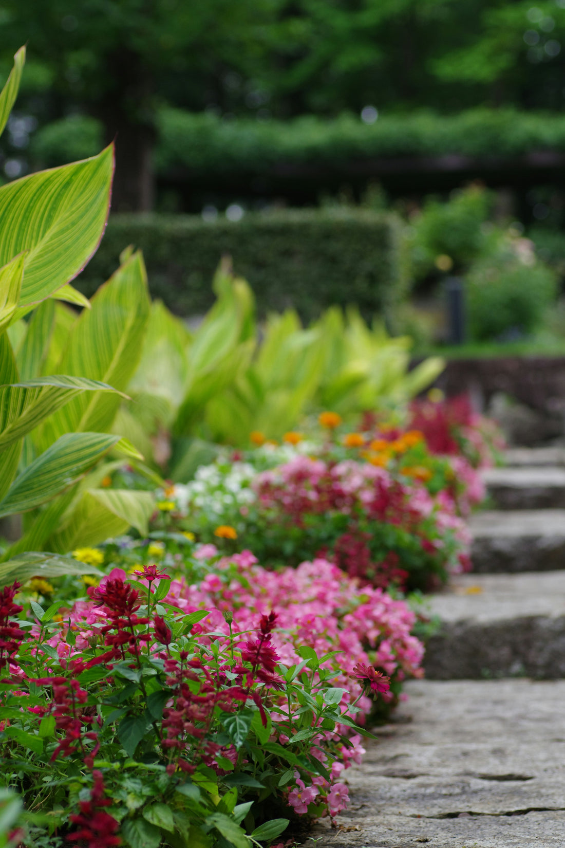 How to Upgrade Your Backyard Landscape on a Budget