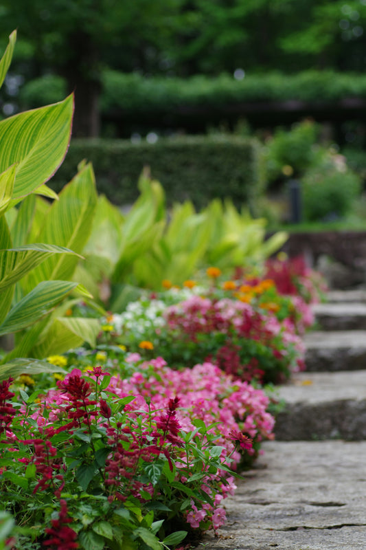 How to Upgrade Your Backyard Landscape on a Budget