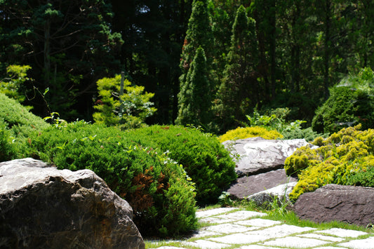 How to Maintain Landscape Edging for Long-Term Performance