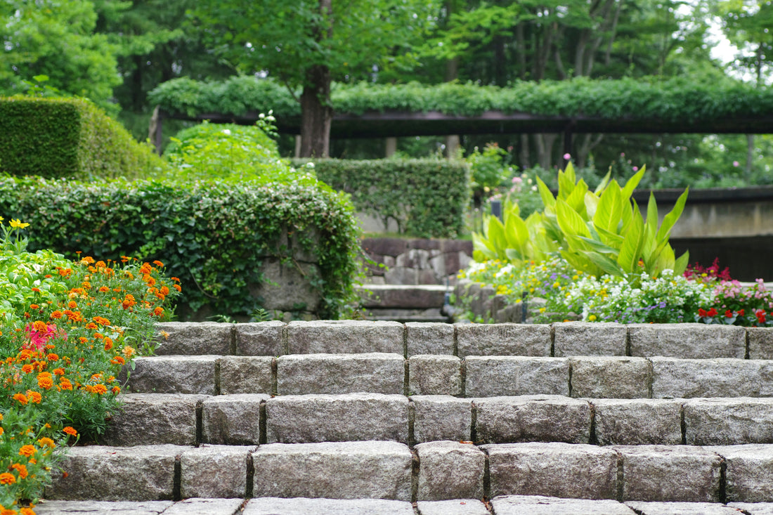 How to Design a Beautiful Flower Bed