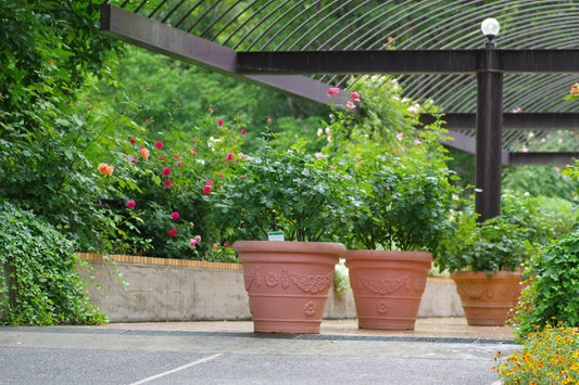 Raised Planter Ideas for Compact Yards 🌱🪴