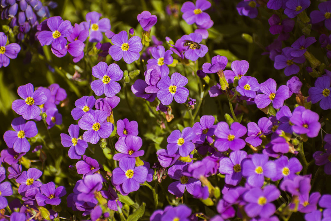 How to Clean Up After Gardening Easily