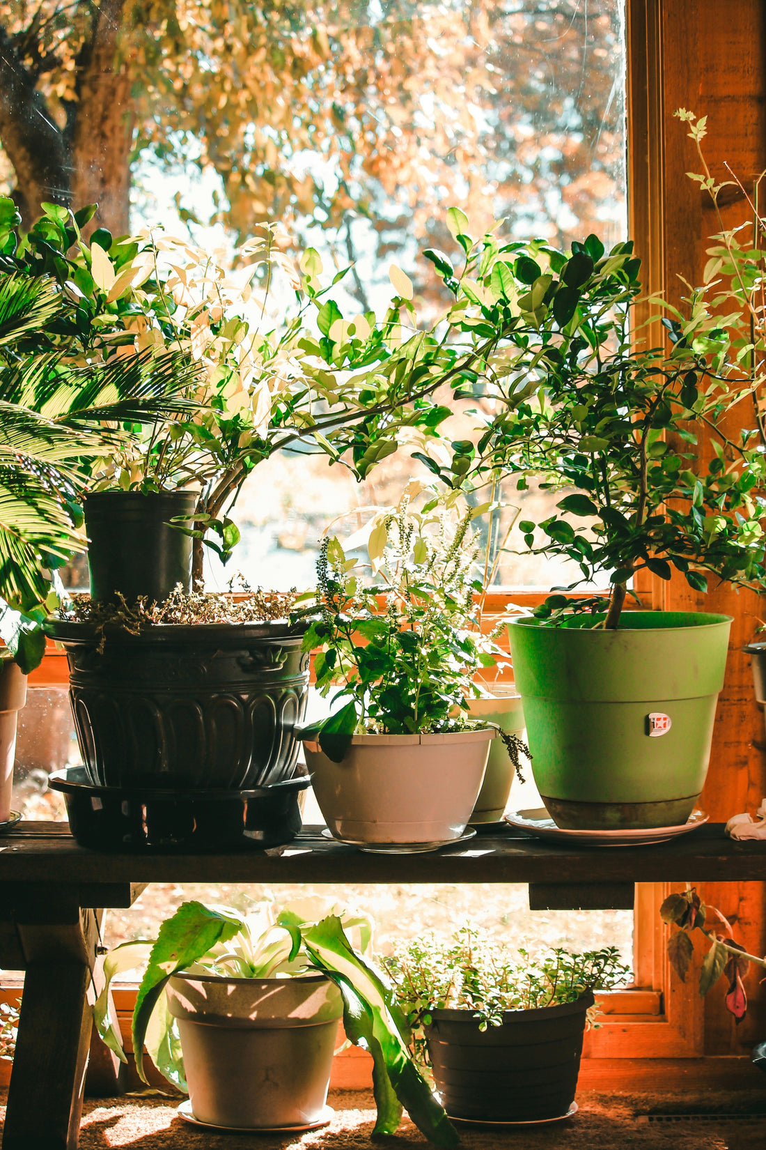 The Truth About Full Spectrum Grow Lights