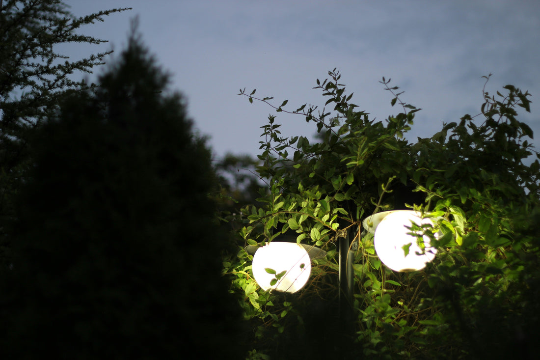 Garden Corners at Dusk: Using Accent Lighting to Create Quiet Moments