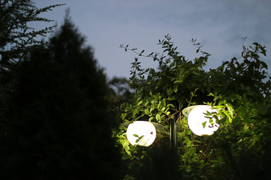 Garden Corners at Dusk: Using Accent Lighting to Create Quiet Moments