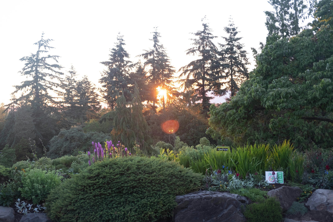 Before and After Sunset: How Gentle Lighting Changes the Way We Feel Outdoors