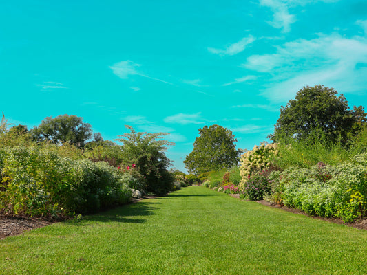 How to Keep Garden Beds Looking Neat Year-Round