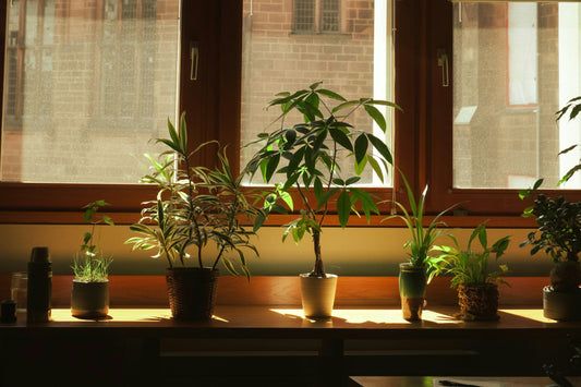 Small Space Gardening Ideas That Actually Work