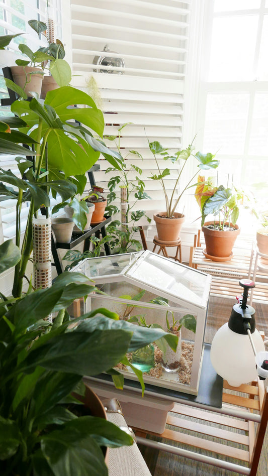 Simple Ways to Start Gardening Today