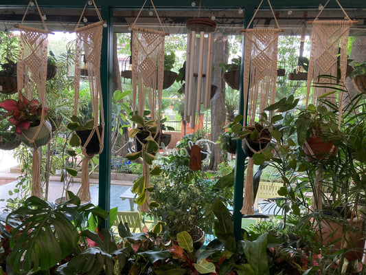 Elevate Your Space with Hanging Planters