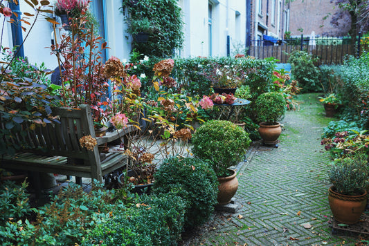 Small Backyard Garden Ideas That Maximize Space