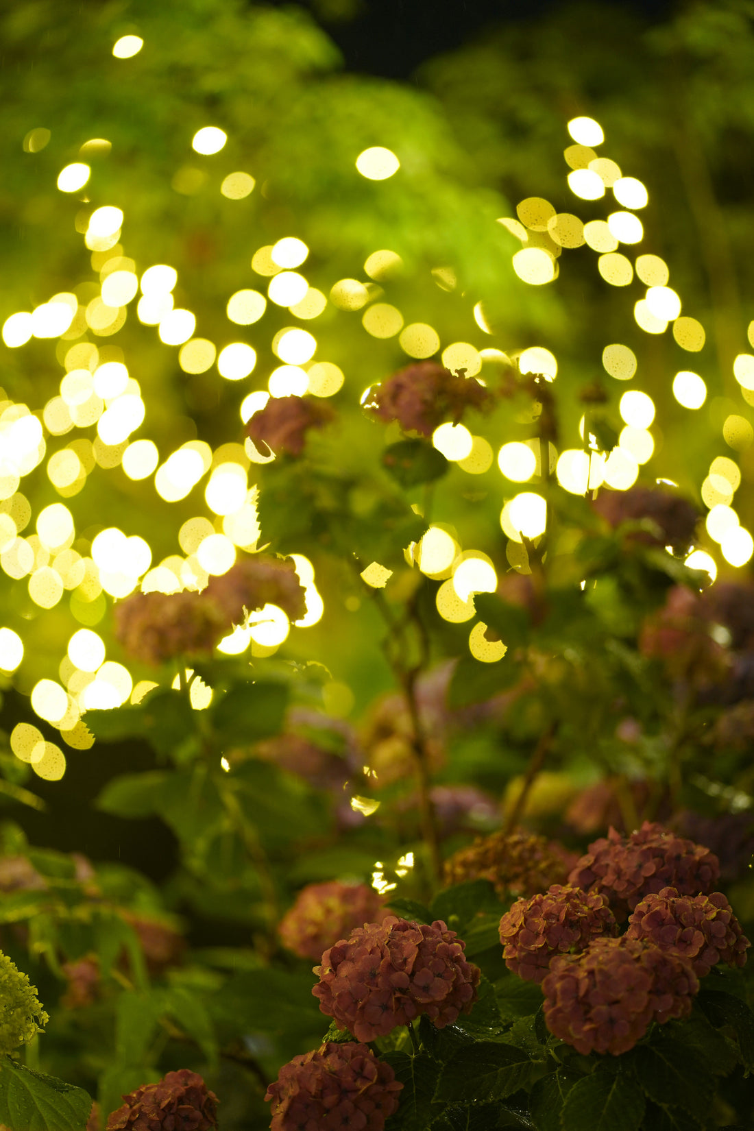 Cozy Evening Garden Lighting Ideas for Spring 🌙✨