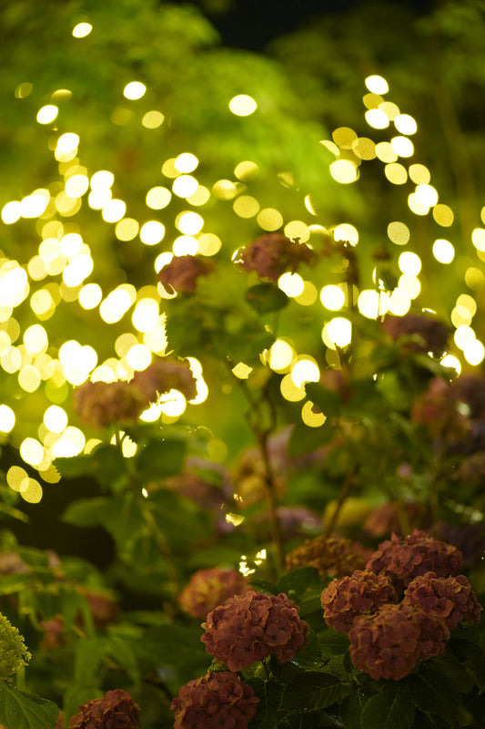 Cozy Evening Garden Lighting Ideas for Spring 🌙✨