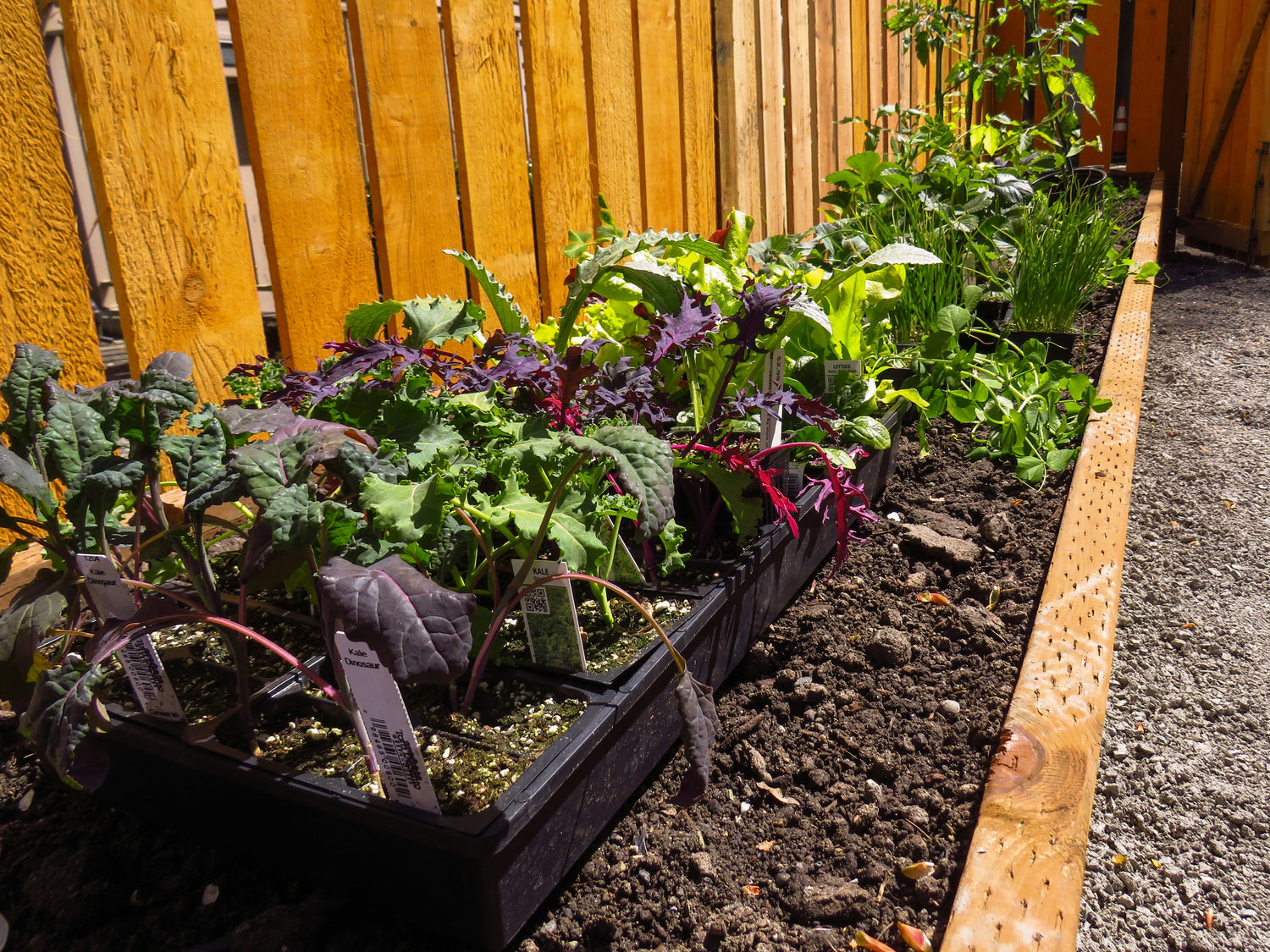 Soil & Compost