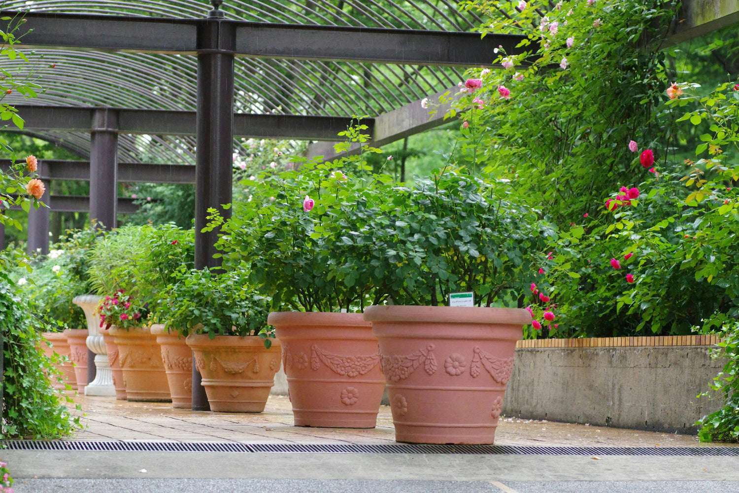 Fertilizers & Plant Food