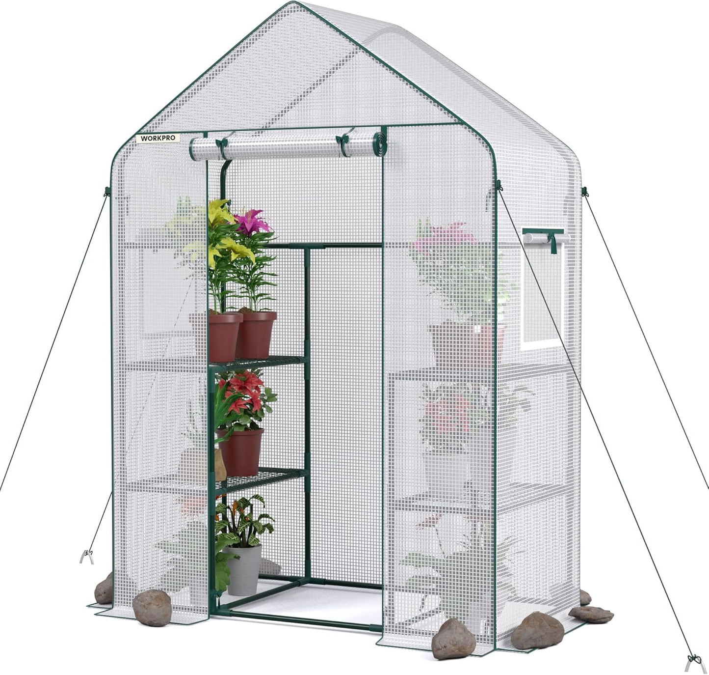 Walk-in Greenhouse 56”x29”x77” – 3-Tier 4 Shelves, Heavy Duty PE Cover, Roll-Up Door & Mesh Windows, Portable Indoor Outdoor Plant Greenhouse for Backyard Patio Balcony