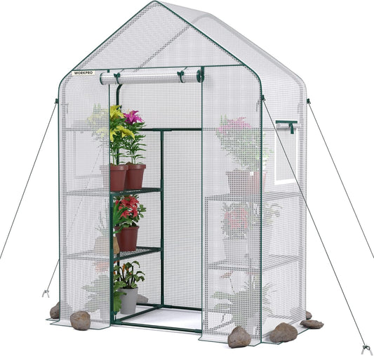 Walk-in Greenhouse 56”x29”x77” – 3-Tier 4 Shelves, Heavy Duty PE Cover, Roll-Up Door & Mesh Windows, Portable Indoor Outdoor Plant Greenhouse for Backyard Patio Balcony