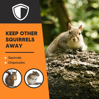 Squirrel Repellent Balls (8 Pack, 5.3 oz) – Peppermint Oil Outdoor Deterrent for Garden, Bird Feeder & Attic – Safe for Pets & Plants, Long-Lasting Natural Protection