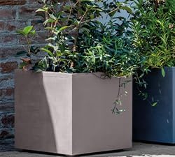 Deroma Millennium 19” Cube | Light & Durable Plastic | Indoor/Outdoor Square Pot for Patio | Water Reserve,Drain Plug Wheels| Trendy Planter for Plants, Flowers, Garden | Sand
