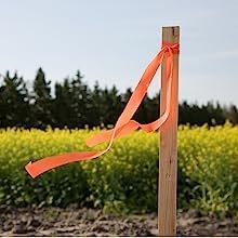 Greenes Fence Cedar Grade Stakes 16 in. Long (96-Pack)
