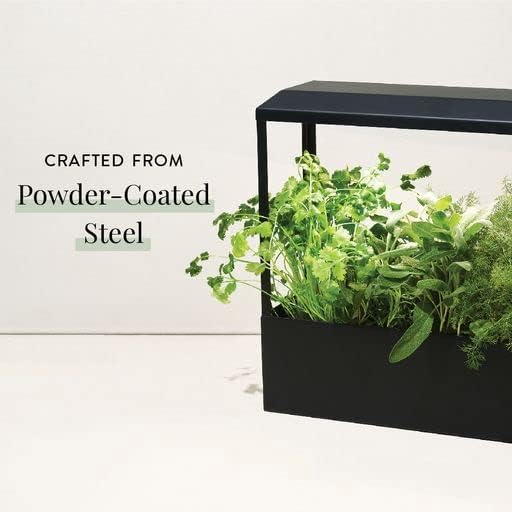 Modern Sprout Smart Growhouse - LED Grow Light for Indoor Plants - Plant Grow Light for Indoor Gardening System - Countertop Planter for Herb Garden with Smart App Control - Matte Black