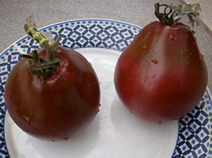 Seeds Black Truffle Tomato Japanese Determinate Non GMO Vegetable for Planting